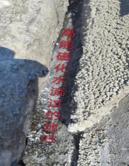 山西孝義六和食品廠(chǎng)
